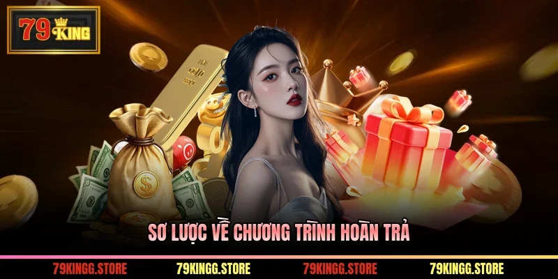 Sơ lược về chương trình hoàn trả